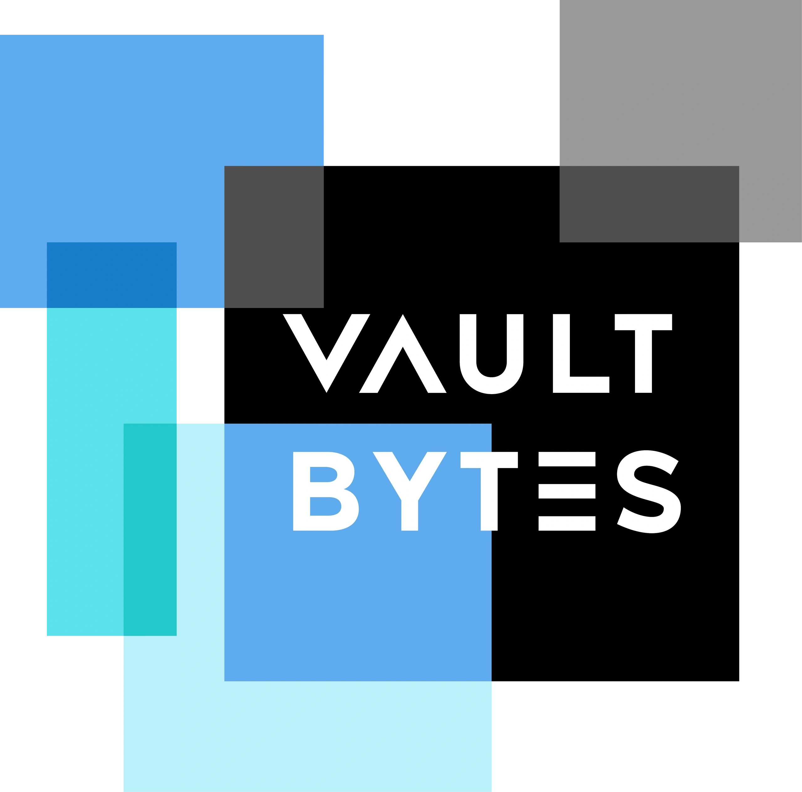 VaultBytes Logo